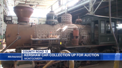 You Can Buy A Thunderbird, A Governor's Limo, And A Train All From The Same Family's Collection