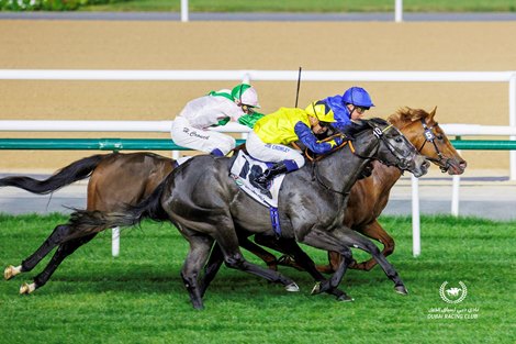 Godolphin Dominates Again on 10th Night of Carnival