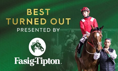 Fasig-Tipton Sponsors Best Turned Out at Saudi Cup