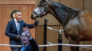 F-T Winter Mixed Sale Sees Healthy Spike on Day 1