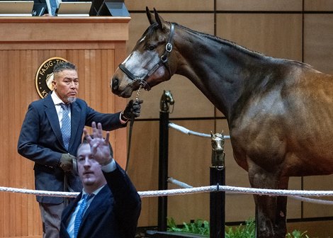 F-T Winter Mixed Sale Sees Healthy Spike on Day 1