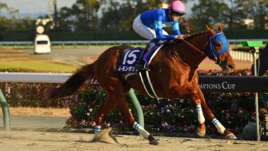Japan Sends 22 Horse Contingent to Saudi Cup Night