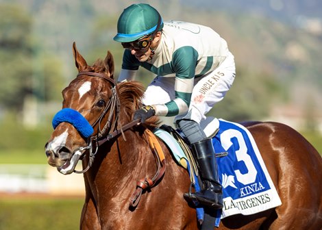 New York-Bred Filly Kinza Seizes Day, Opportunity