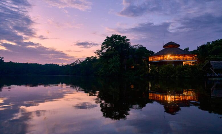 A Return to La Selva and the Amazon Jungle « Joe McNally Photography