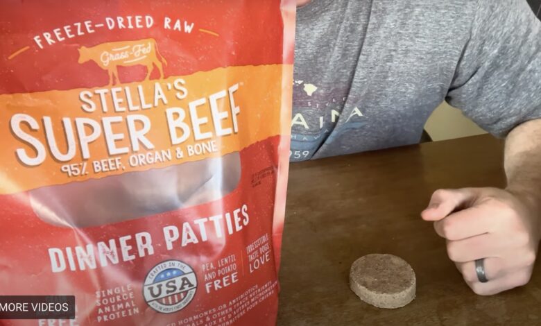 Stella & Chewy Freeze Dried Dog Food Review [+VIDEO]