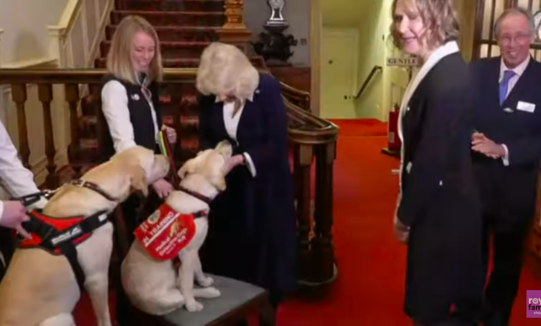 Queen Camilla Celebrates Medical Detection Dogs