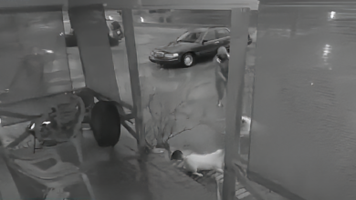 Video Shows 'Moment' Amazon Driver Shot Dog During A Home Delivery