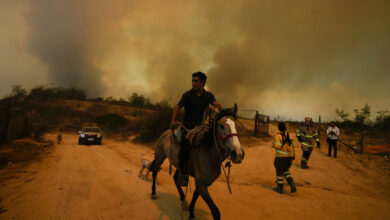 At least 46 were killed in Chile as forest fires move into densely populated areas : NPR