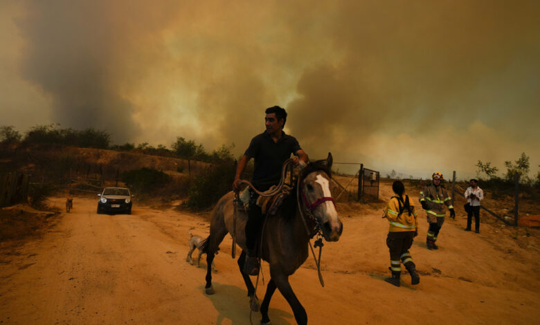 At least 46 were killed in Chile as forest fires move into densely populated areas : NPR