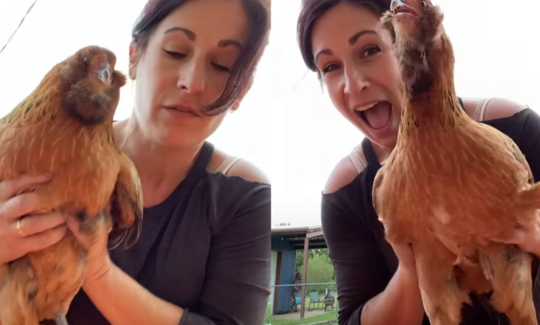 Endearing Chicken 'Melted' Hearts Cackling With Laughter When Woman Tickles Her Sides
