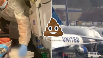 'Sh** Happens', Dog Poops Mid-Flight And Causes Chaos With Passengers