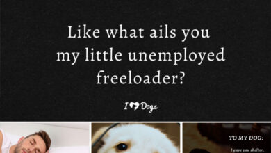 19 Quotes about Dogs That Will Make You Laugh, Cry, & Reminisce