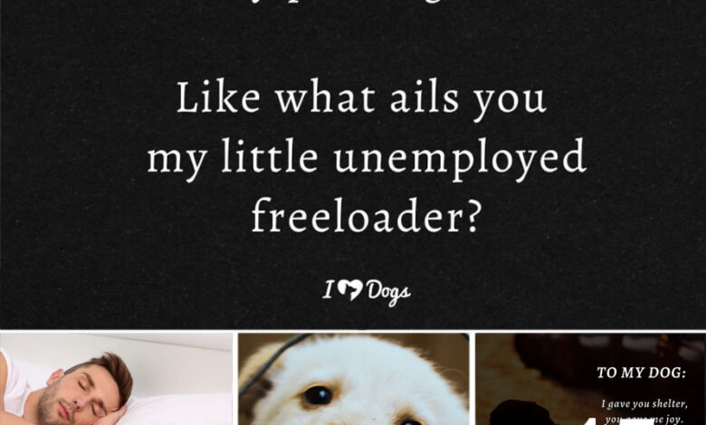 19 Quotes about Dogs That Will Make You Laugh, Cry, & Reminisce