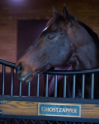 Stronghold Is Ghostzapper's 100th Stakes Winner