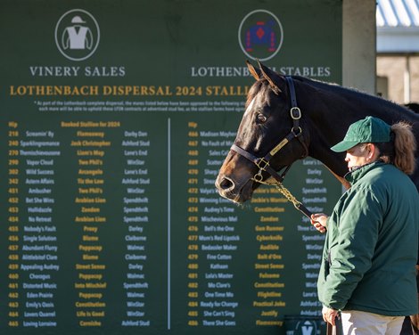 Quality Horses Await in Fasig-Tipton Winter Mixed Sale