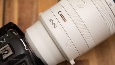 Review of the Canon RF 200-800mm f/6.3-9 IS USM