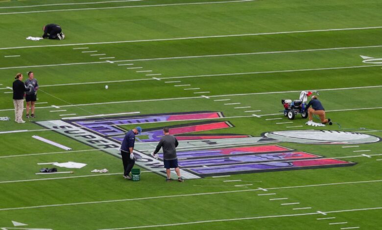 Will Las Vegas Super Bowl field hold up after NFL turf issues?
