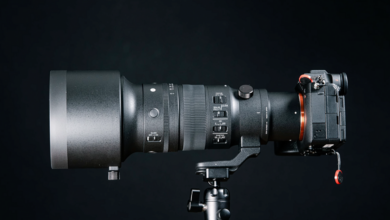 A Review of the New and Impressive Sigma 500mm f/5.6 DG DN OS Sports Lens