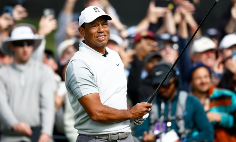 2024 Genesis Invitational predictions, picks, odds, field rankings, golf best bets for Tiger Woods' return