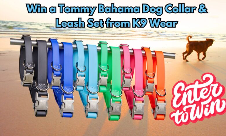 Win a Tommy Bahama Dog Collar & Leash Set from K9 Wear