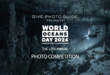 11th Annual Photo Competition for UN World Oceans Day