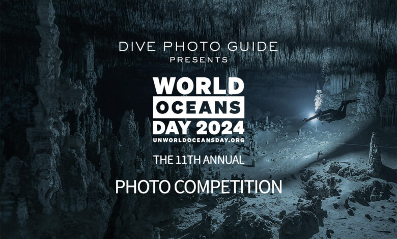 11th Annual Photo Competition for UN World Oceans Day