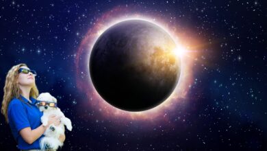woman and dog wearing solar glasses with photo of eclipse in background