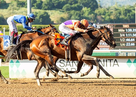 Coffee in Bed wins first in Santa Maria