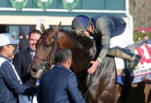 Capture the highlights of the Blue Grass Day Handle Keeneland Meet