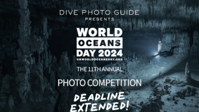 United Nations World Oceans Day 2024 Competition: Deadline Extended!