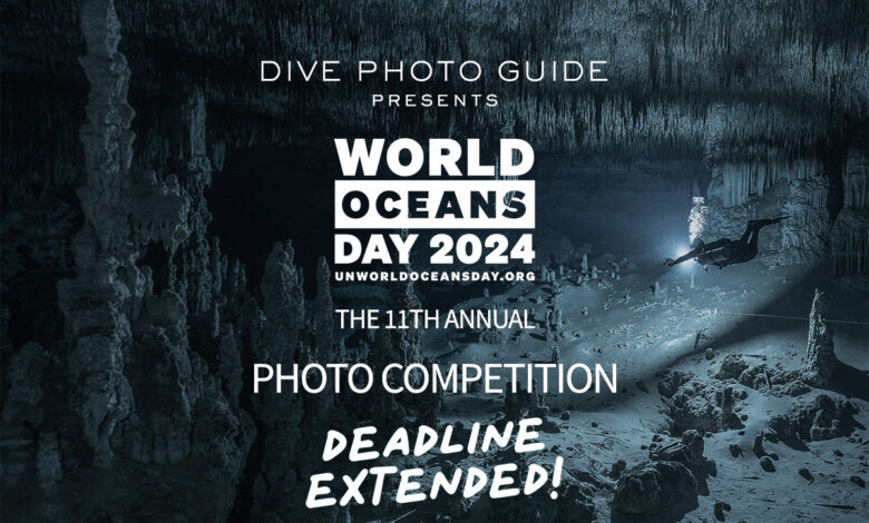 United Nations World Oceans Day 2024 Competition: Deadline Extended!
