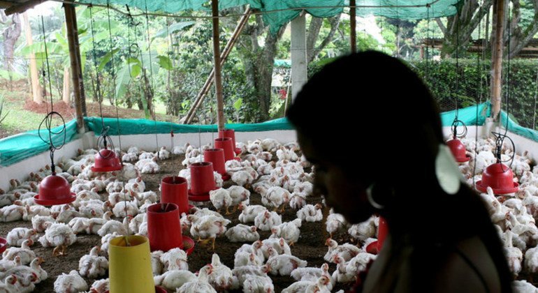 Disease experts expressed concern that bird flu could spread to humans