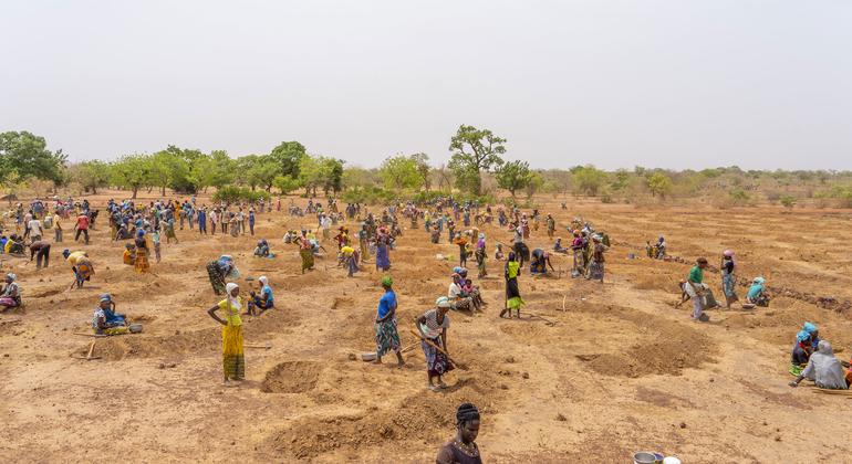 Burkina Faso: The United Nations human rights office is extremely worried by the news of killing 220 villagers
