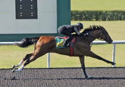 McKinzie Filly matched OBS's fastest quarter of the spring