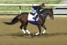 Use recent history to calculate the Kentucky Oaks Field handicap