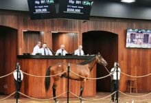 $550K Nyquist Colt Tops Day 3 of the OBS Spring Sale