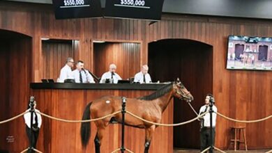 $550K Nyquist Colt Tops Day 3 of the OBS Spring Sale