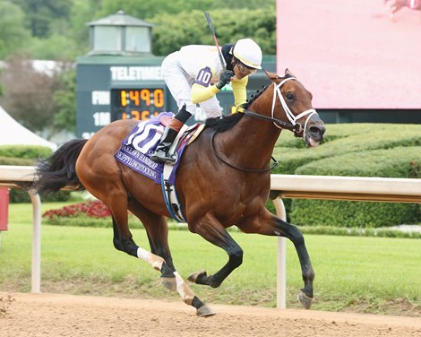 Skippylongstocking Mostly the best in the Oaklawn handicap