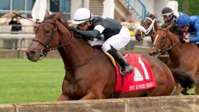 Fev Rover Honored as Canada's Horse of the Year
