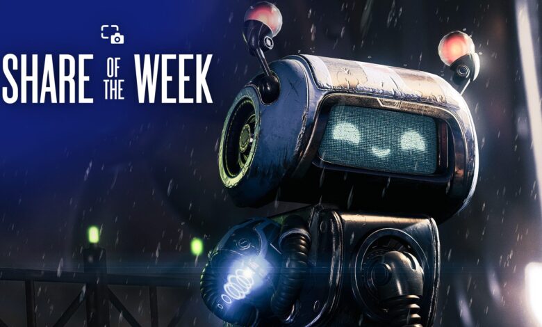 Share of the Week: Robots
