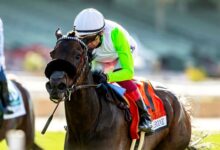 Uncorked Pops in Royal Heroine for D'Amato