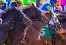NTRA launches initiative to promote safety in racing