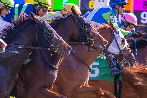 NTRA launches initiative to promote safety in racing