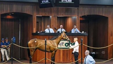 $775K Caracaro Filly Tops Kick off the OBS Spring Sale