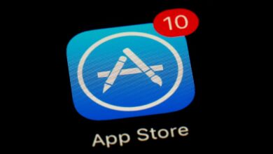 DolphiniOS is having problems with Apple's new App Store policy changes regarding JIT- What is it and all the details