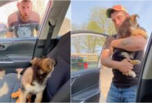 Wife picks up husband from work with an extra passenger inside