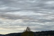 Cliff Mass's weather blog: Undulating clouds