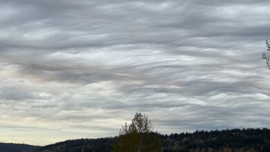 Cliff Mass's weather blog: Undulating clouds