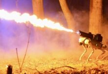 Somehow, this $10,000 fire-throwing robot dog is completely legal in 48 states