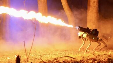 Somehow, this $10,000 fire-throwing robot dog is completely legal in 48 states